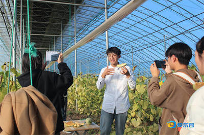 电商赋能乡村，学子助力振兴——高校开展农副产品电商调研实践纪实