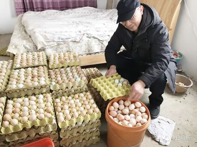 消费扶贫一小时 四千鸡蛋售罄背后的订单力量