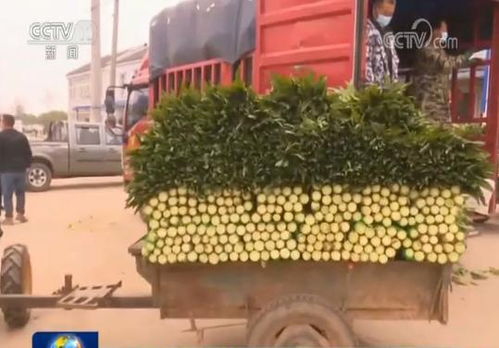 多措并举，湖北农副产品拓宽销售渠道显成效