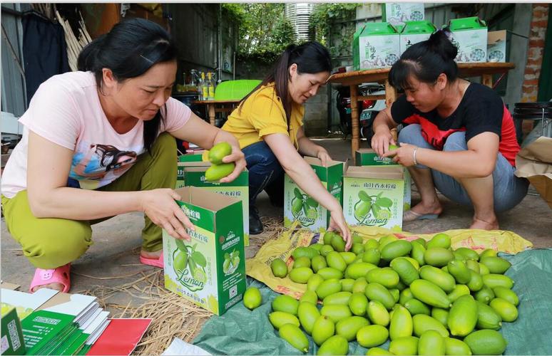 山圩镇 电商赋能农副产品销售，鼓起农民钱袋子